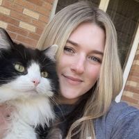 April Sykes
