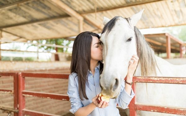 A person kissing a white horse on the nose while holding a piece of food for it in a stable