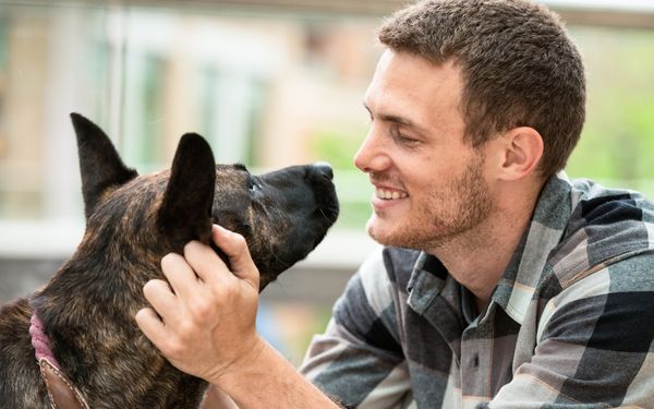 A man smiles while petting a brindle dog
