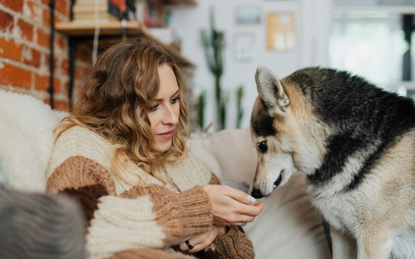 a woman with a husky dog sitting on sofa
