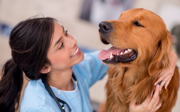 A smiling veterinarian in a blue uniform embraces a happy Golden Retriever