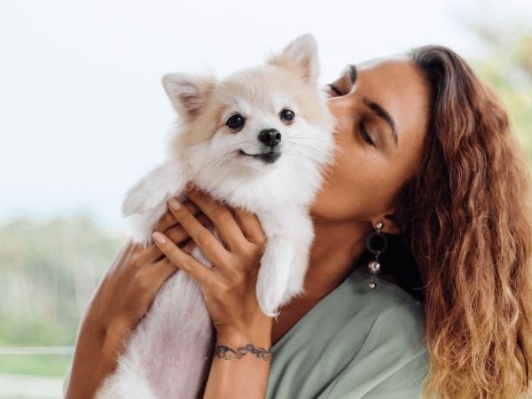 A person gently holding a fluffy Pomeranian dog