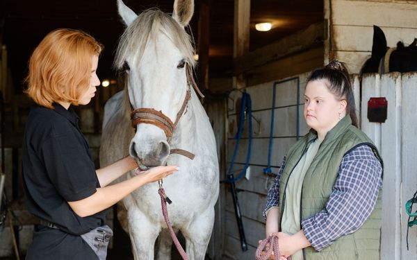 two person standing with a horse in a stable