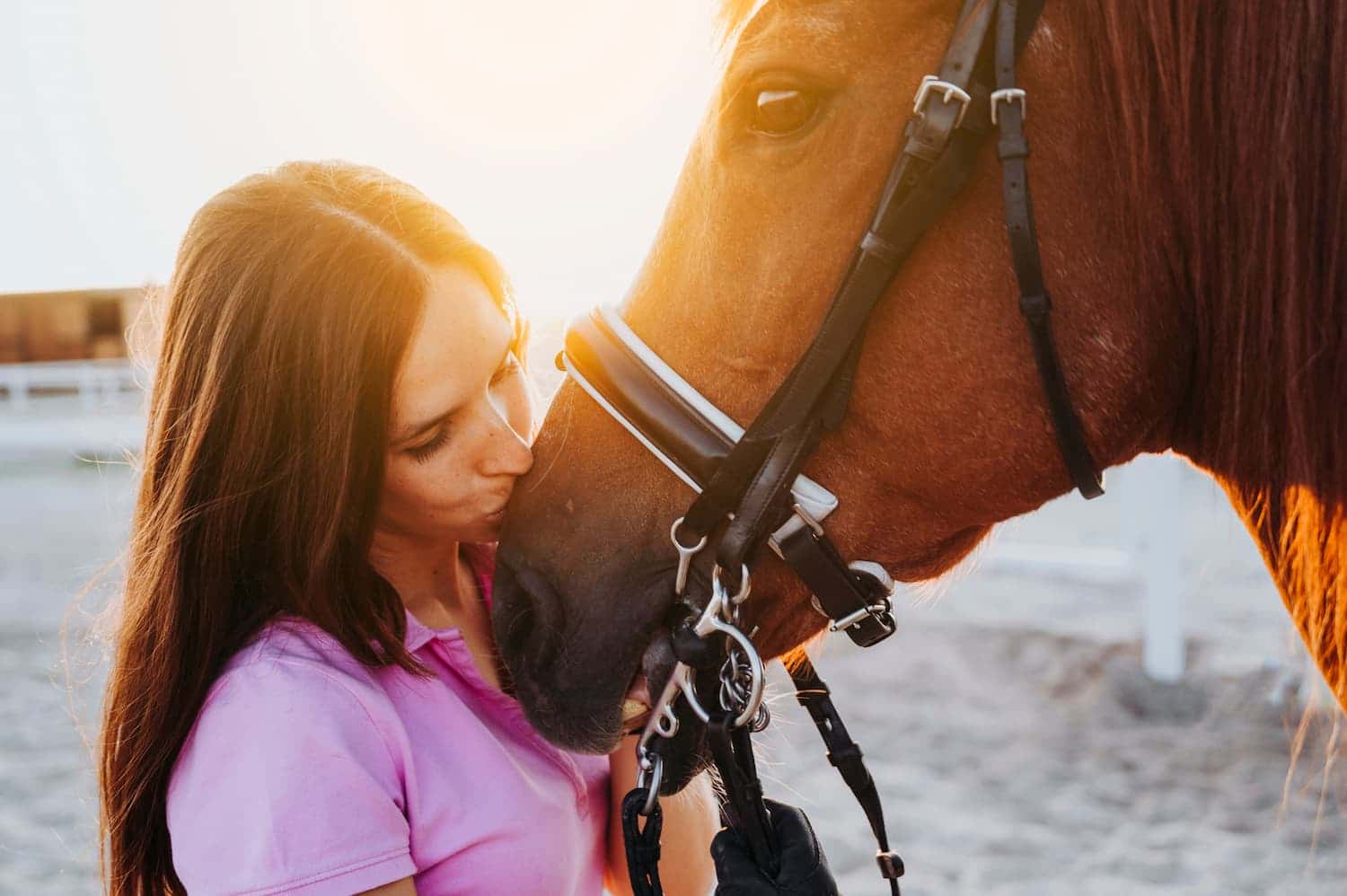 A woman in a pink shirt kisses a brown horse on the nose at an outdoor stable during sunset.