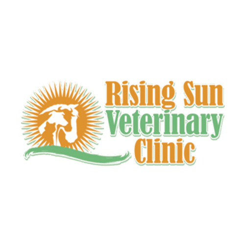Logo for Rising Sun Veterinary Clinic featuring an orange sun, a white silhouette of a dog and cat, and green and orange text on a white background.